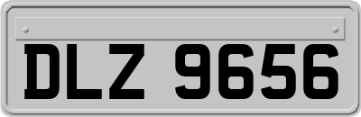 DLZ9656