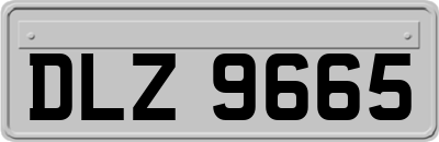 DLZ9665