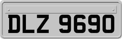 DLZ9690