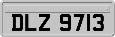 DLZ9713