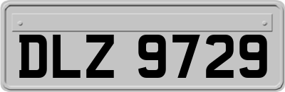 DLZ9729