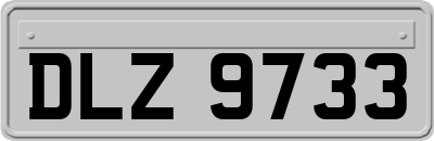 DLZ9733