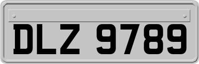 DLZ9789