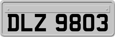 DLZ9803