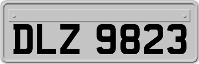 DLZ9823