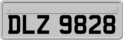 DLZ9828