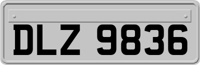 DLZ9836
