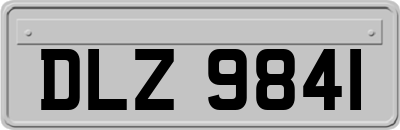 DLZ9841