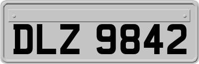 DLZ9842
