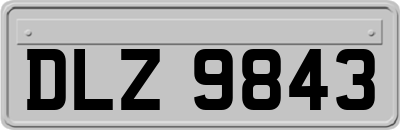 DLZ9843