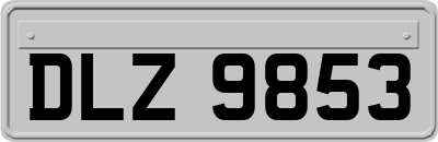 DLZ9853