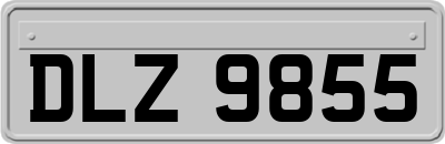 DLZ9855