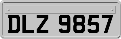 DLZ9857