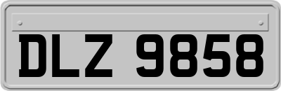 DLZ9858
