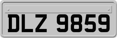 DLZ9859