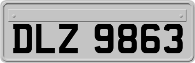 DLZ9863