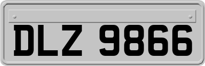 DLZ9866