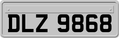 DLZ9868