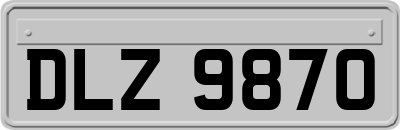 DLZ9870