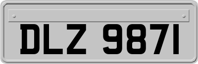 DLZ9871
