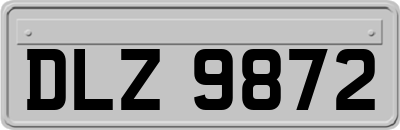 DLZ9872