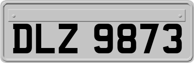 DLZ9873