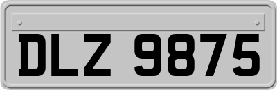 DLZ9875