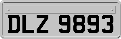 DLZ9893