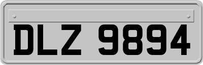 DLZ9894