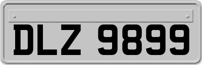 DLZ9899