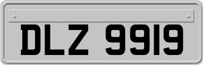 DLZ9919