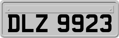 DLZ9923