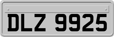 DLZ9925
