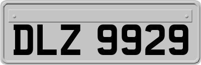 DLZ9929