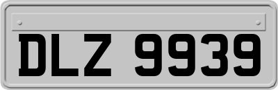 DLZ9939
