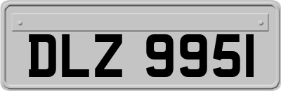 DLZ9951