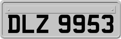 DLZ9953