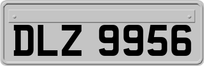 DLZ9956