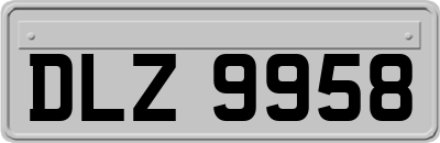 DLZ9958