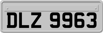 DLZ9963