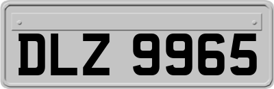 DLZ9965