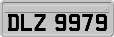 DLZ9979