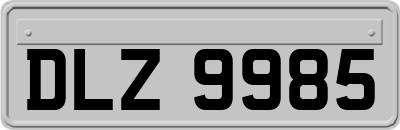 DLZ9985