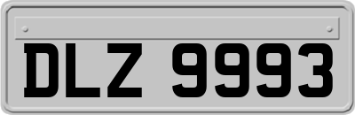 DLZ9993