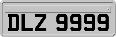 DLZ9999