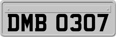 DMB0307
