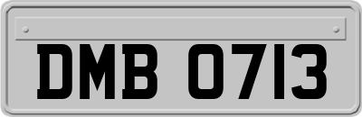 DMB0713