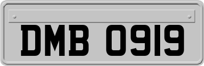 DMB0919