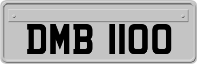DMB1100