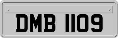 DMB1109
